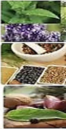 image about صيدلية الطبيعة: فلسفة الطب العربي ومساراته العالمية