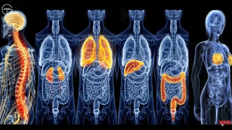 image about علامات مبكرة قد تدل على السرطان – انتبه لها مبكرًا