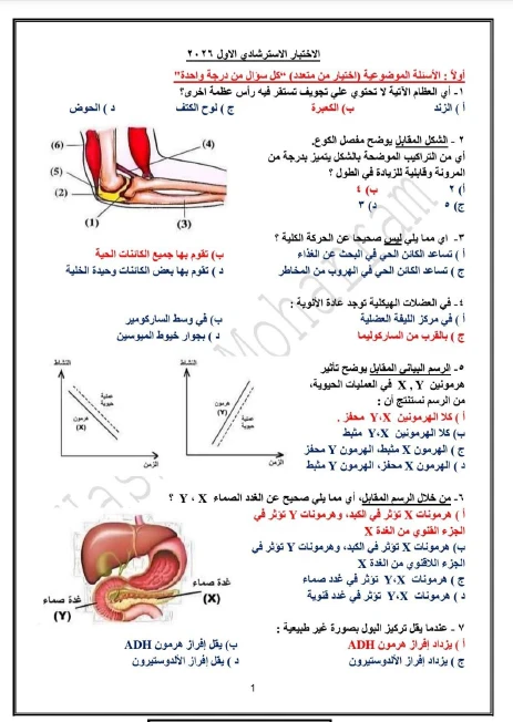 image about تحميل إجابات وأسئلة نماذج الوزارة لمادة الأحياء للصف الثالث الثانوي 2026، 
