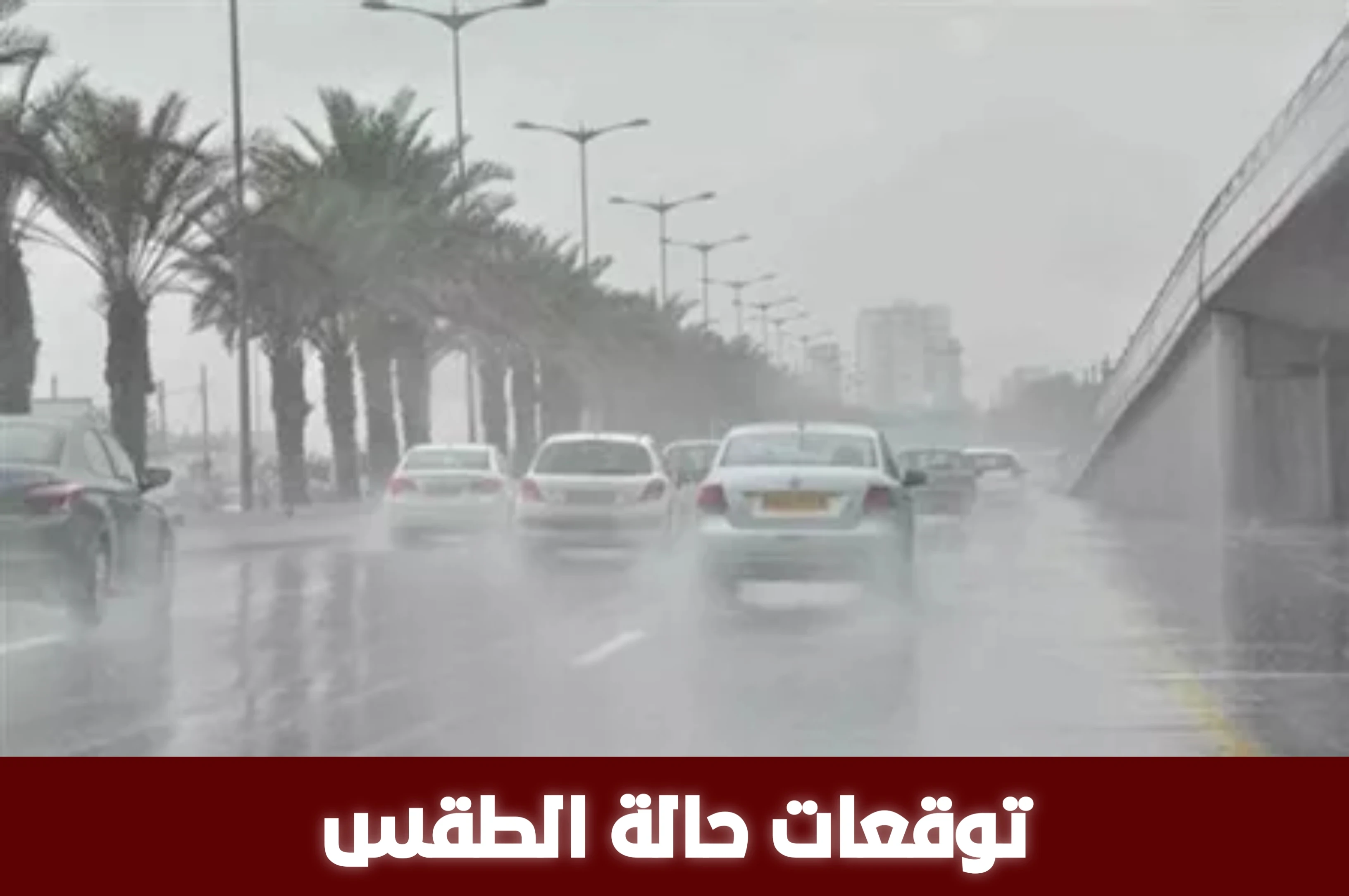 image about الطقس في مصر من 7 إلى 11 مارس 2026: شبورة صباحية وأمطار خفيفة ونشاط رياح