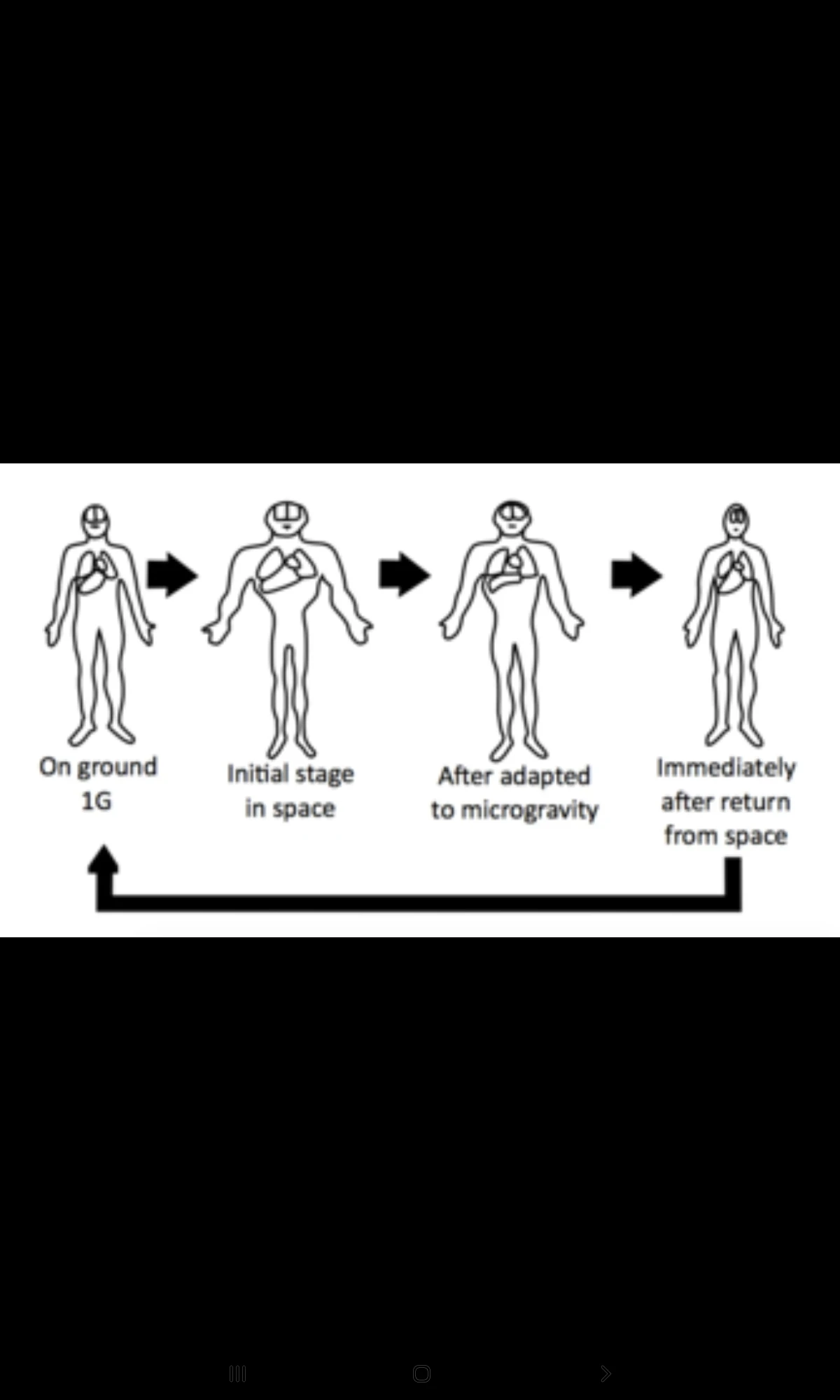 image about أسرار الكون الغامضة: الثقب الأسود، العوالم الموازية وتأثير العوم في الفضاء على العمر البشري