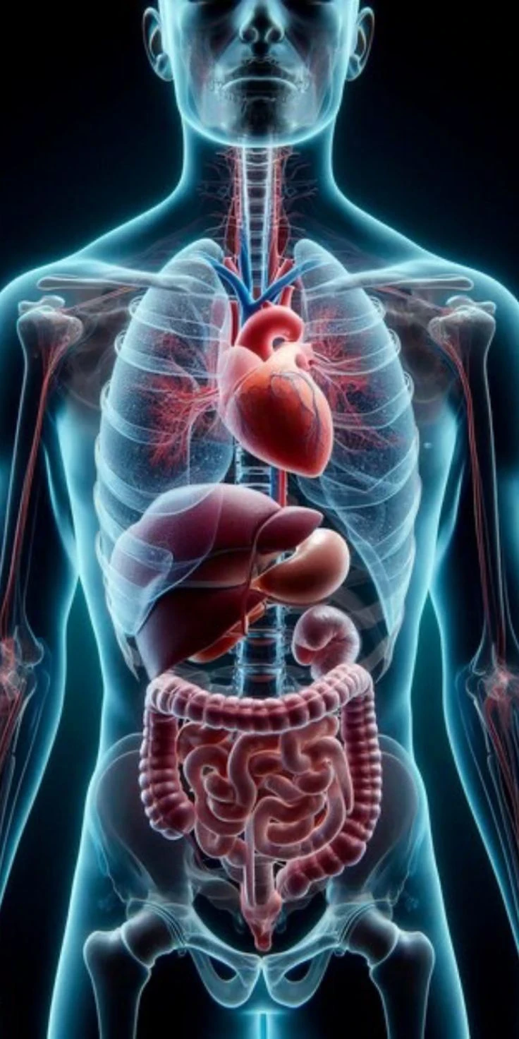 image about فوائد شرب الماء على الريق يوميًا + الكمية الصحيحة حسب وزنك 2026