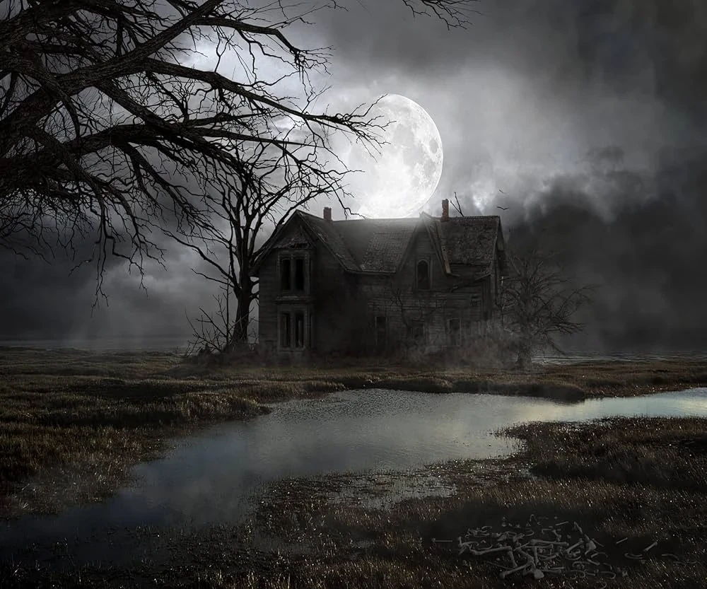 image about تكملة قصة البيت الاخير