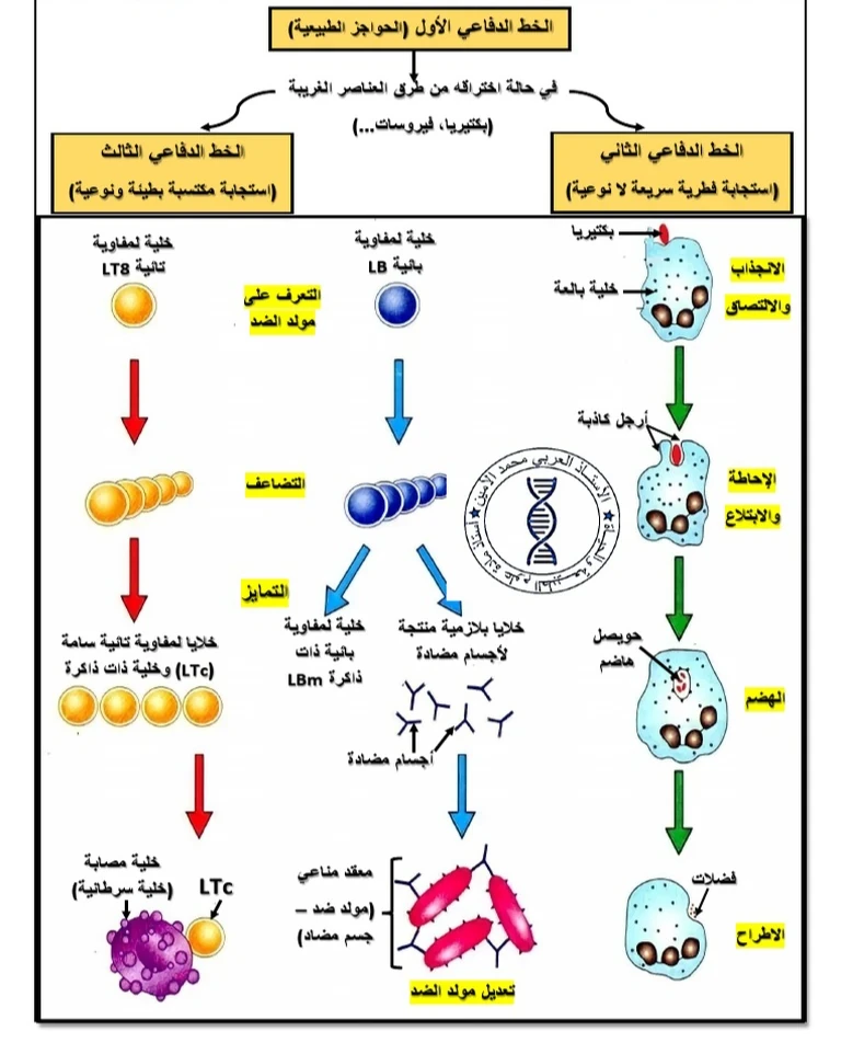 image about الذات واللاذات لمادة العلوم الطبيعية والحياة