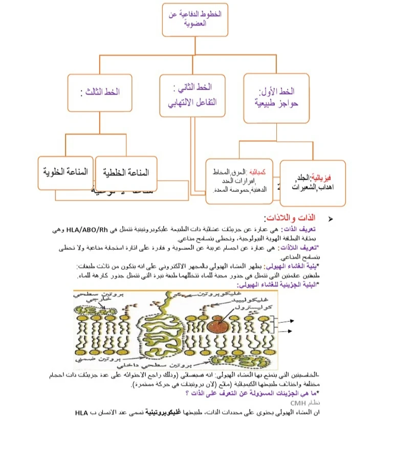 image about الذات واللاذات لمادة العلوم الطبيعية والحياة