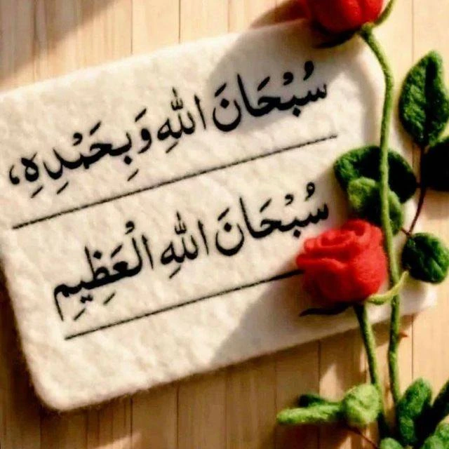 image about بنك اسئلة كتاب الاضواء في العلوم للصف الثالث الاعدادي الترم الثانى 2026 pdf