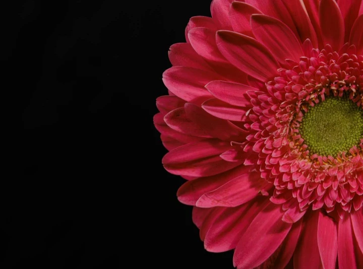 image about ٧ عادات صباحية تغير حياتك.