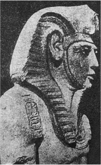 image about سقوط الأسرة التاسعة عشرة: كيف انهارت قوة رمسيس؟