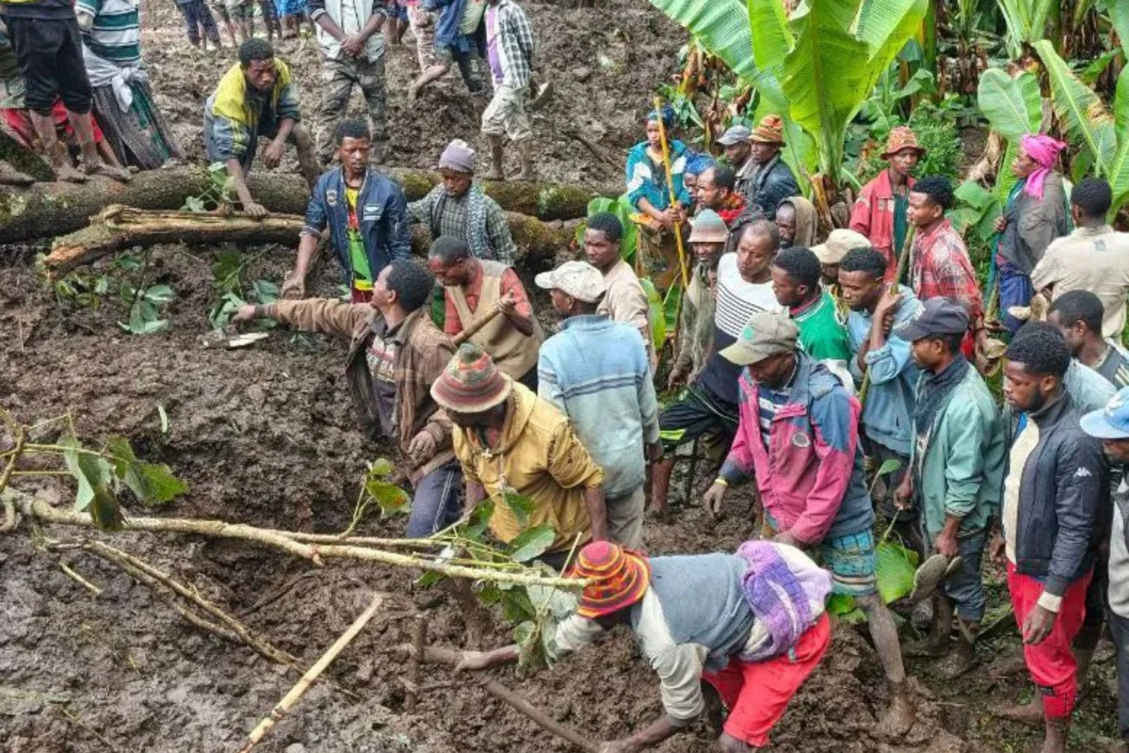 image about كارثة إثيوبيا المؤلمة.. أكتر من 80 شخص ماتوا في انهيارات أرضية وفيضانات غامو.. الحقيقة والتفاصيل الكاملة!
