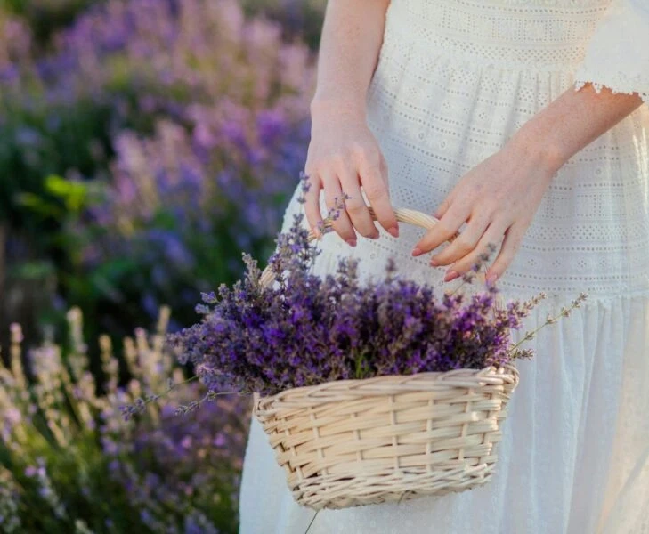 image about كيف يؤثر العطر على مزاجك ولماذا يدرسه علم الأعصاب