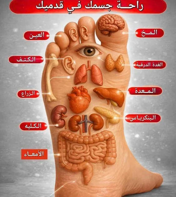 image about لغة الجسد الخفية: كيف تداوي مشاعرك من باطن قدميك وكفيك؟