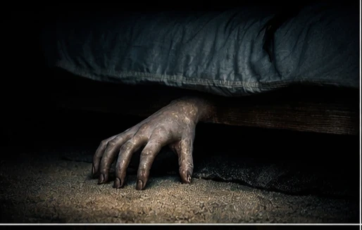 image about الكيان في الداخل