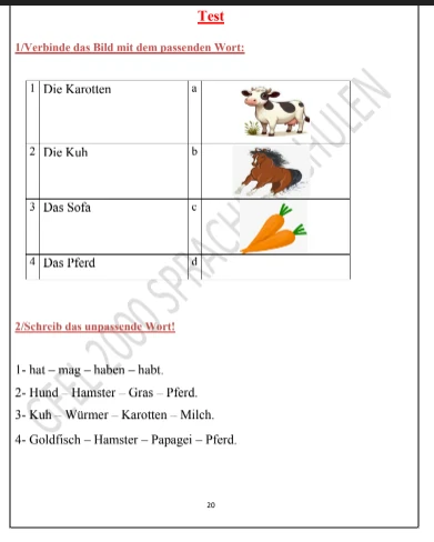 image about تحميل مذكرة اللغة الألمانية للصف الرابع الابتدائي الترم الثاني   2026 PDF شرح مبسط وتدريبات كاملة