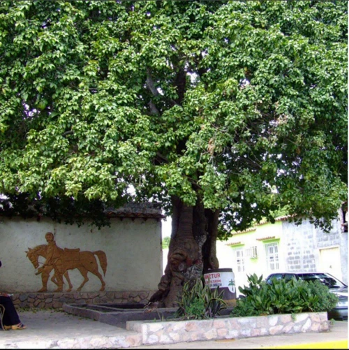 image about دارت معركة أراغوا دي برشلونة في 17 أغسطس 1814، وانتهت بهزيمة ساحقة لقوات سيمون بوليفار أمام الملكيين