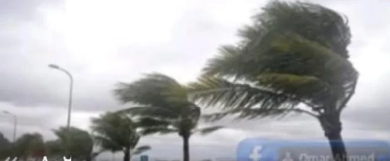 image about تحميل مراجعة شهر مارس لغة عربية الصف الثاني الإعدادي الترم الثاني 2026 PDF بالإجابات – أقوى ملخص شامل + نماذج امتحانات وفق النظام الجديد