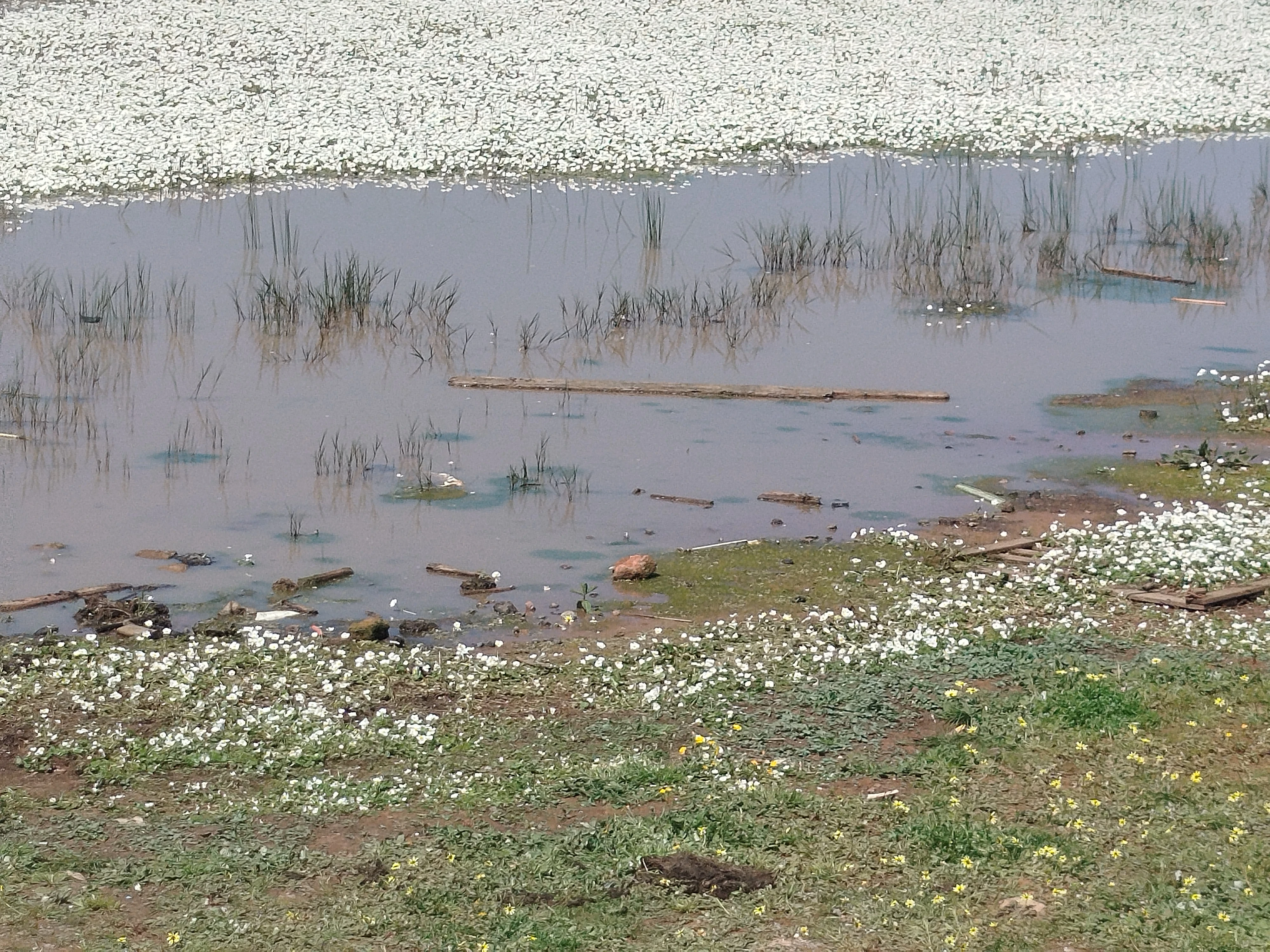 image about تاغبالوت نوحلبمة الفردوس القديم الذي يبكي حاضرا  اليما