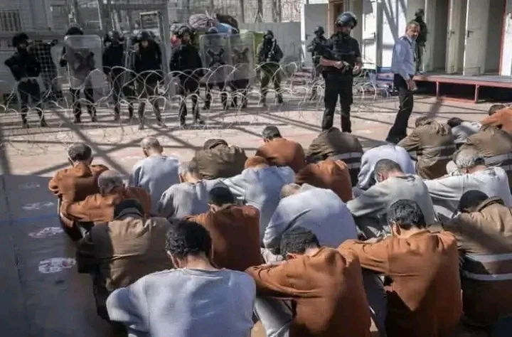 image about الهولوكوست في العصر الحديث 