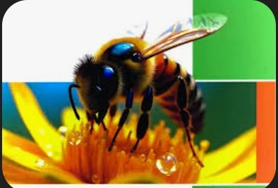 image about تحميل مراجعة أحياء تالتة ثانوي 2026 PDF من جوجل درايف مجانًا – أقوى ملخص نهائي + أسئلة متوقعة ونماذج امتحانات بالإجابات 🧬💯