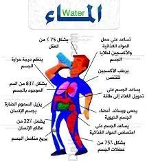 image about الماء والحياة ومصادر المياه هي شريان الحياة وتُعتبر من العناصر الأساسية