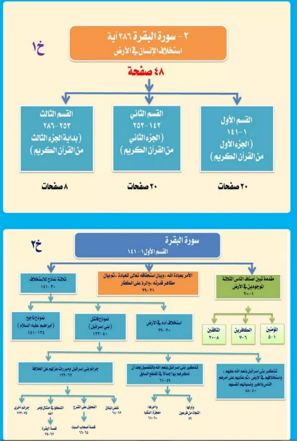 image about تحميل الخرائط الذهنية للمصحف كامل PDF مجانًا – احفظ القرآن بسهولة في وقت قياسي!