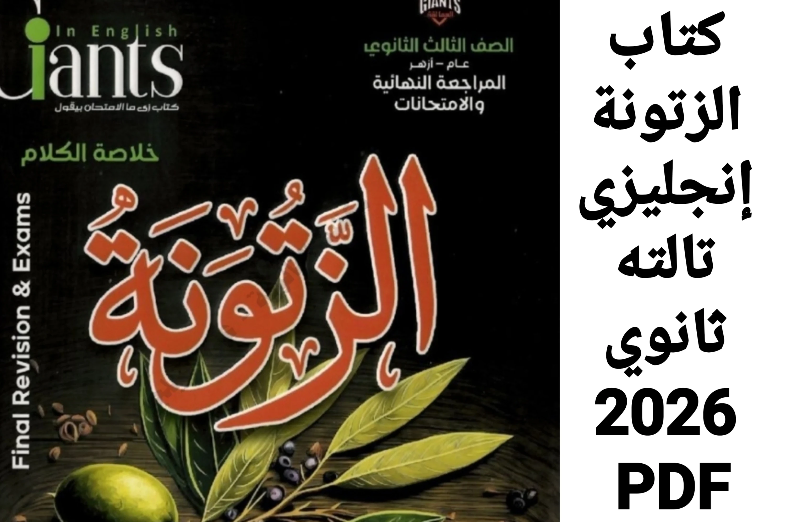image about تحميل كتاب الزتونة إنجليزي تالته ثانوي 2026 PDF كامل بالإجابات شرح القواعد والترجمة ونماذج امتحانات