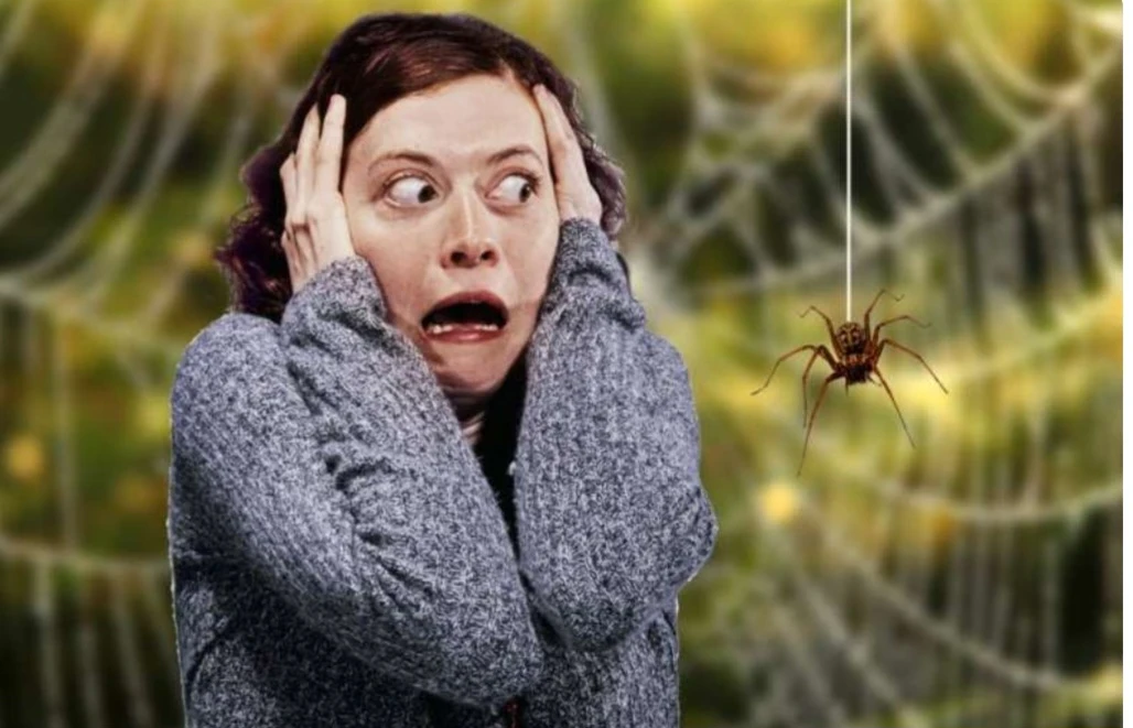 image about كيف تتغلب على فوبيا الحيوانات والحشرات بخطوات فعالة.