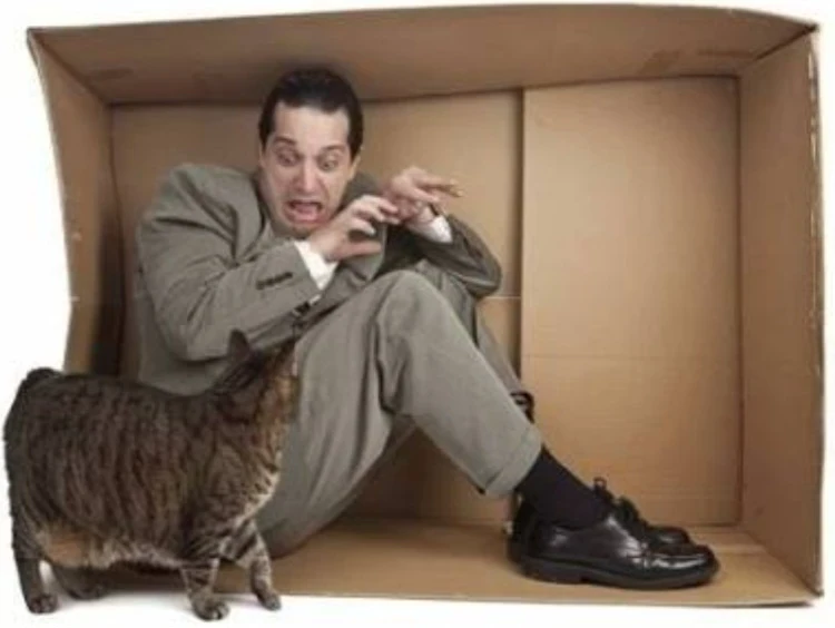 image about كيف تتغلب على فوبيا الحيوانات والحشرات بخطوات فعالة.