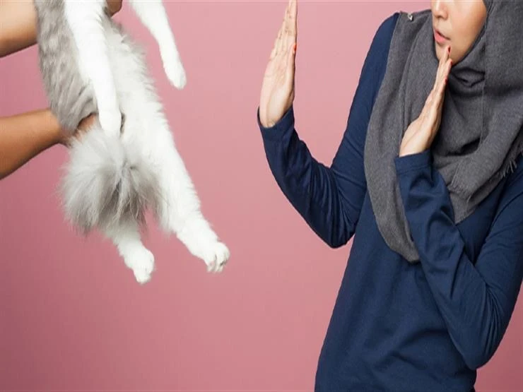 image about كيف تتغلب على فوبيا الحيوانات والحشرات بخطوات فعالة.