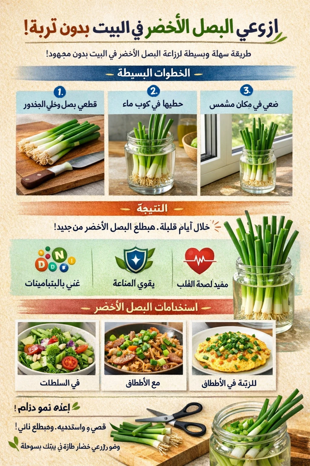 image about كيفية زراعة البصل الأخضر في المنزل بدون تربة وفوائده الصحية