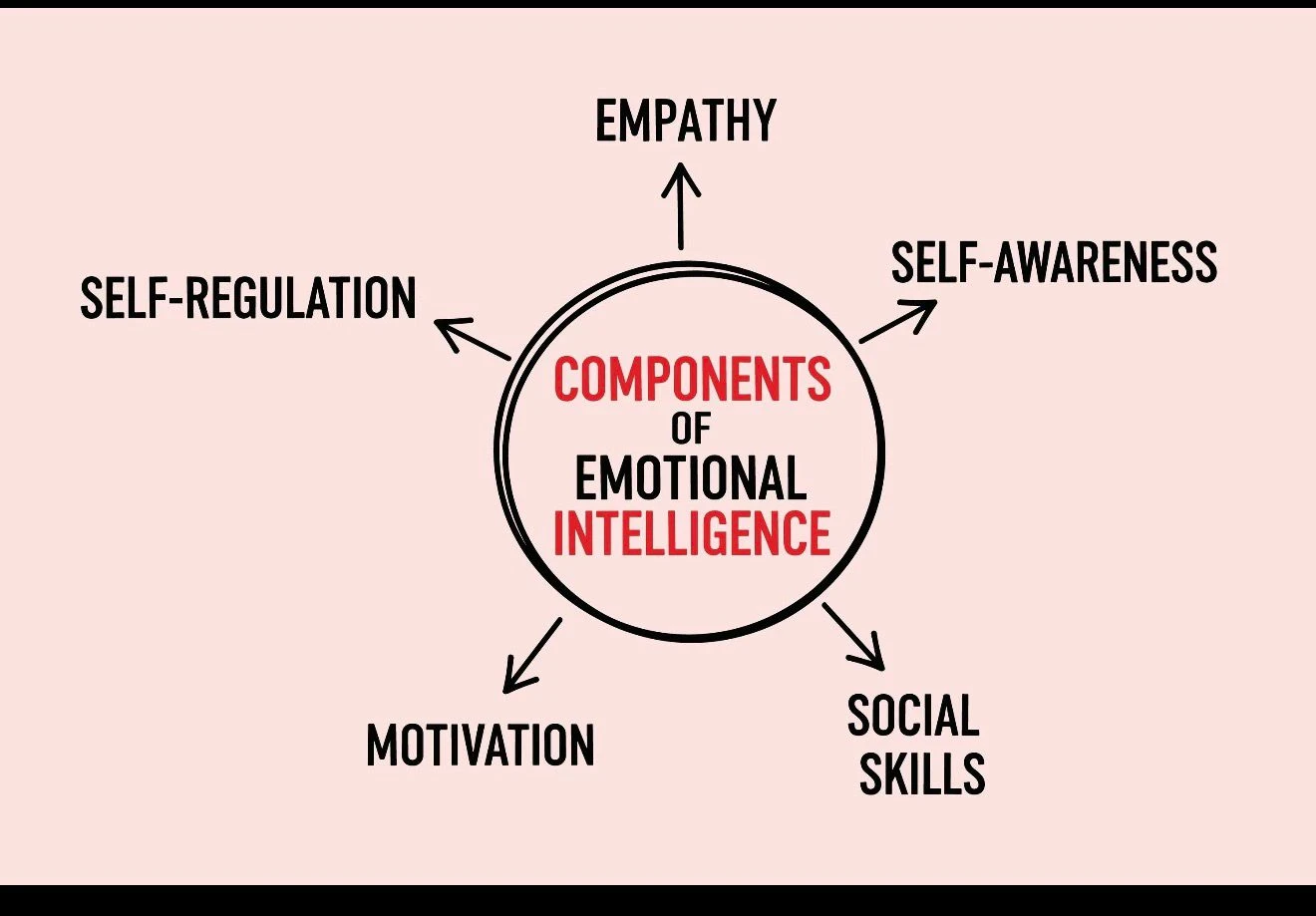 image about التمييز الأكاديمي: حين يصبح العلم سلاحاً للهدم