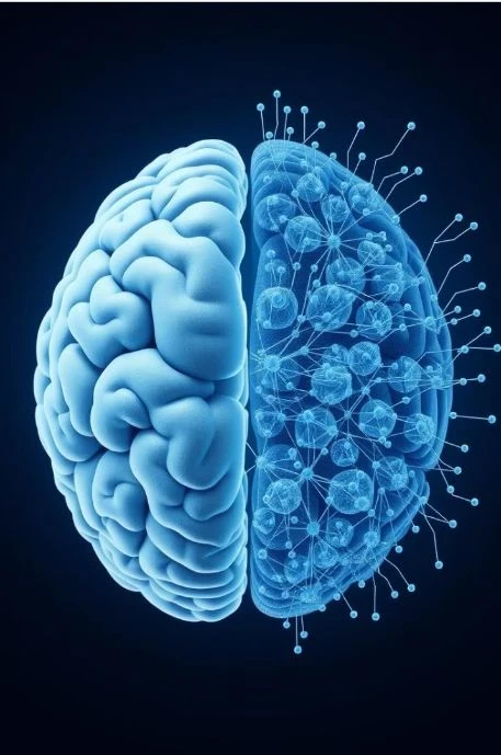 image about تعفن الدماغ.. عندما يستهلكك المحتوى التافه دون أن تشعر