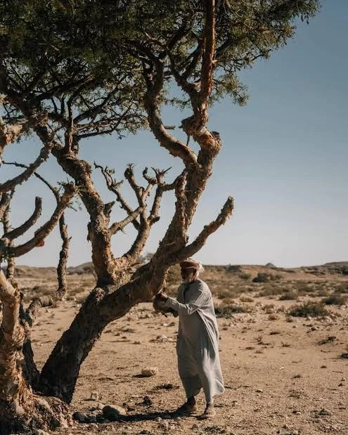 image about أغرب جريمه الحقيقية في التاريخ: عندما يتجاوز الواقع حدود الخيال!