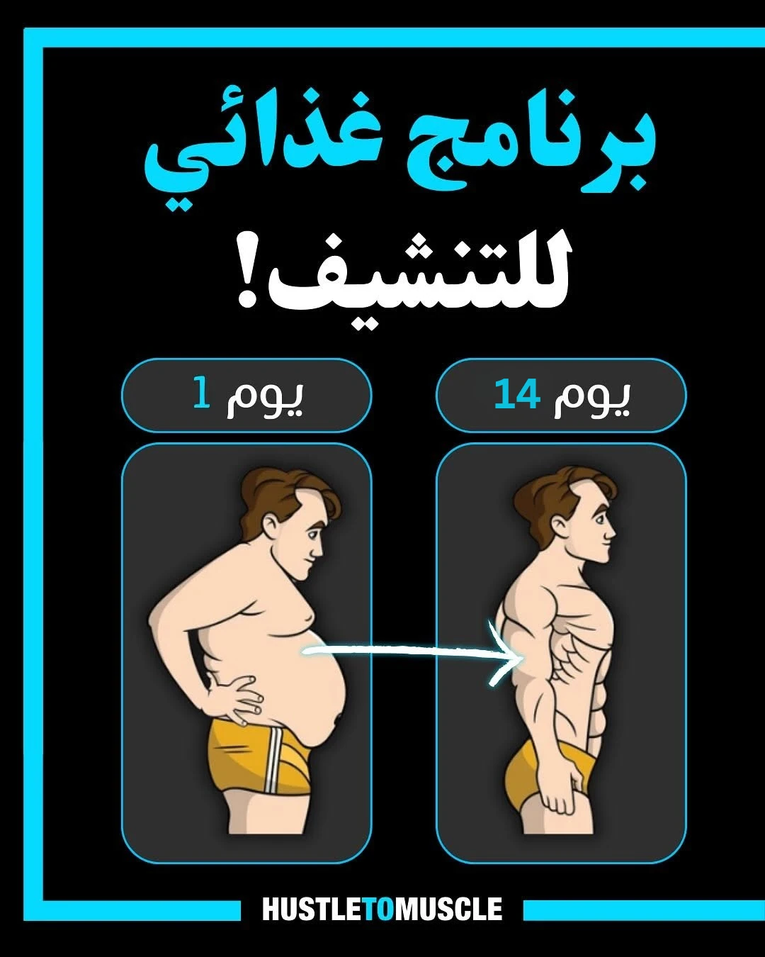 image about دليل التنشيف المنزلي)