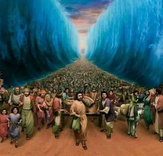 image about حسن التوكل علي الله