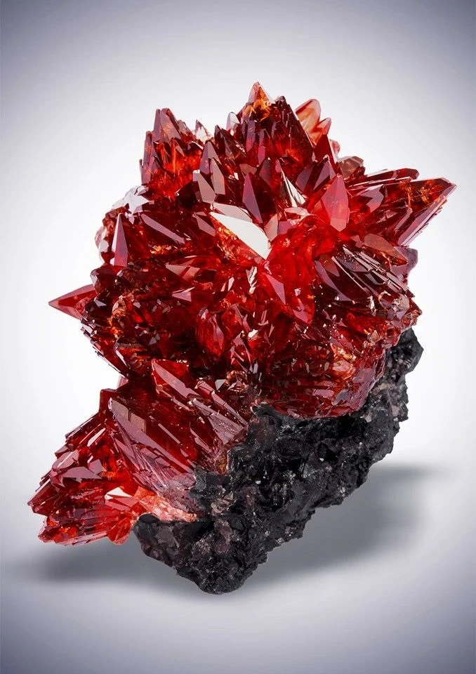 image about أسرار حجر الياقوت الأحمر: جوهرة الملوك وعلامة القوة