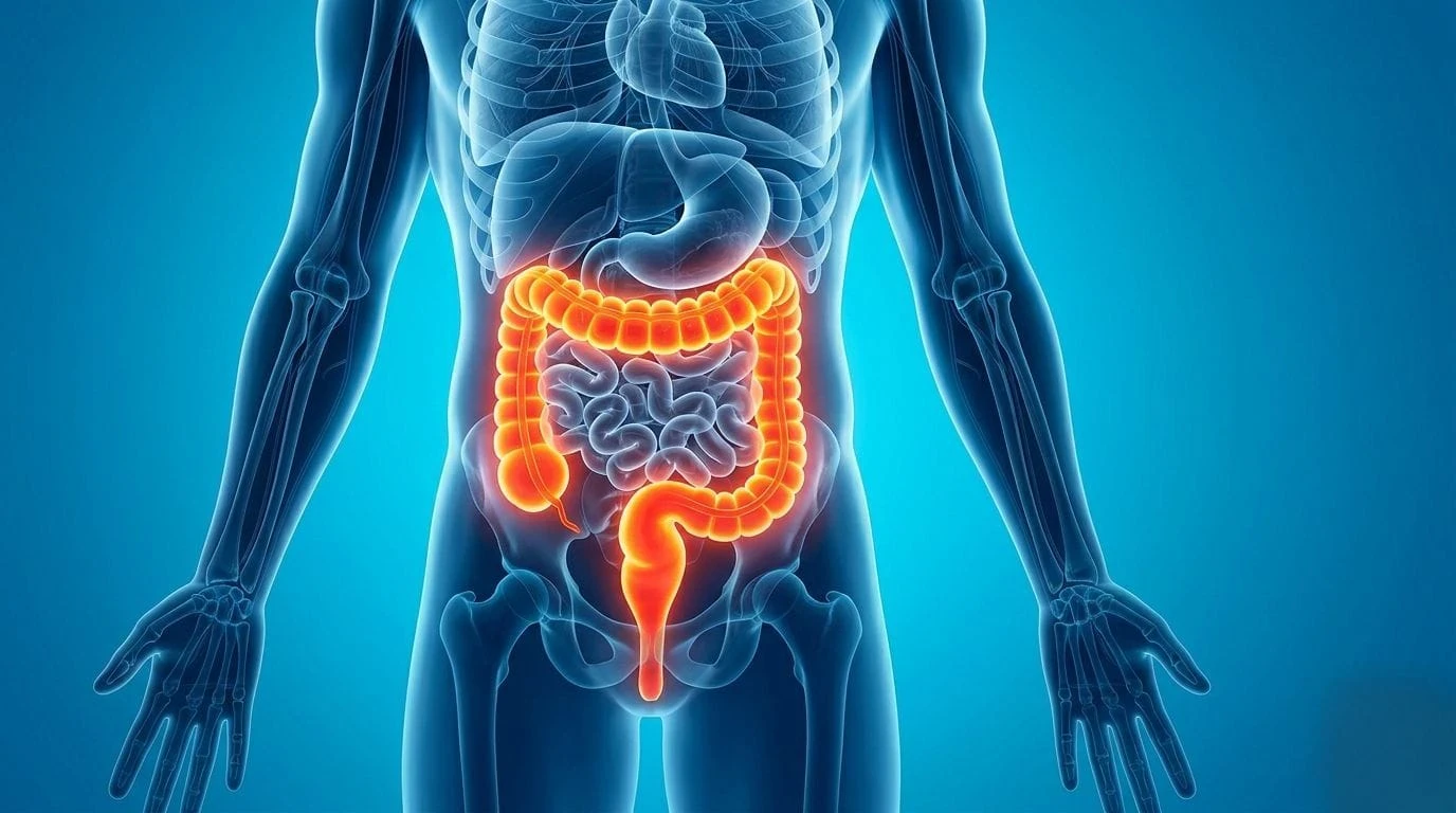 image about سرطان القولون: أعراض مبكرة لا يجب تجاهلها وأهم طرق الوقاية قبل فوات الأوان