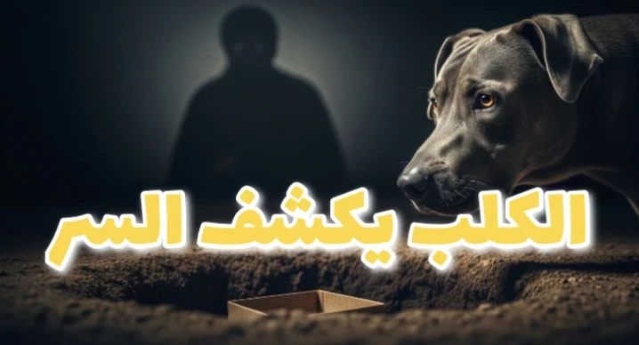 image about قصة وفاء كلب غيّرت حياة رجل بالكامل 🥺❤️