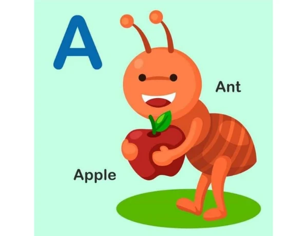 image about تحميل فلاش كارت حروف اللغة الإنجليزية للأطفال PDF (26 كارت بالصور) – أفضل طريقة لتعليم الحروف بسهولة 2026