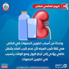 image about هل تعلم فوائد شرب الماء يوميًا؟ 8 أخطاء شائعة تهملها قد تضر صحتك!!!!!!