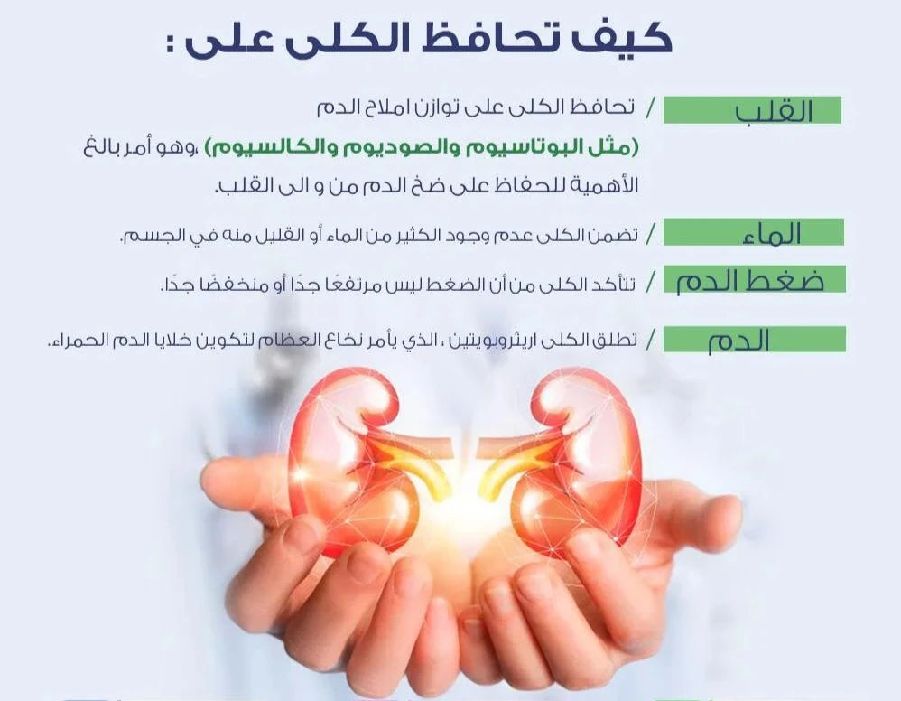 image about التهابات الكلى: القاتل الصامت الذي يبدأ بحرقان بسيط!”
