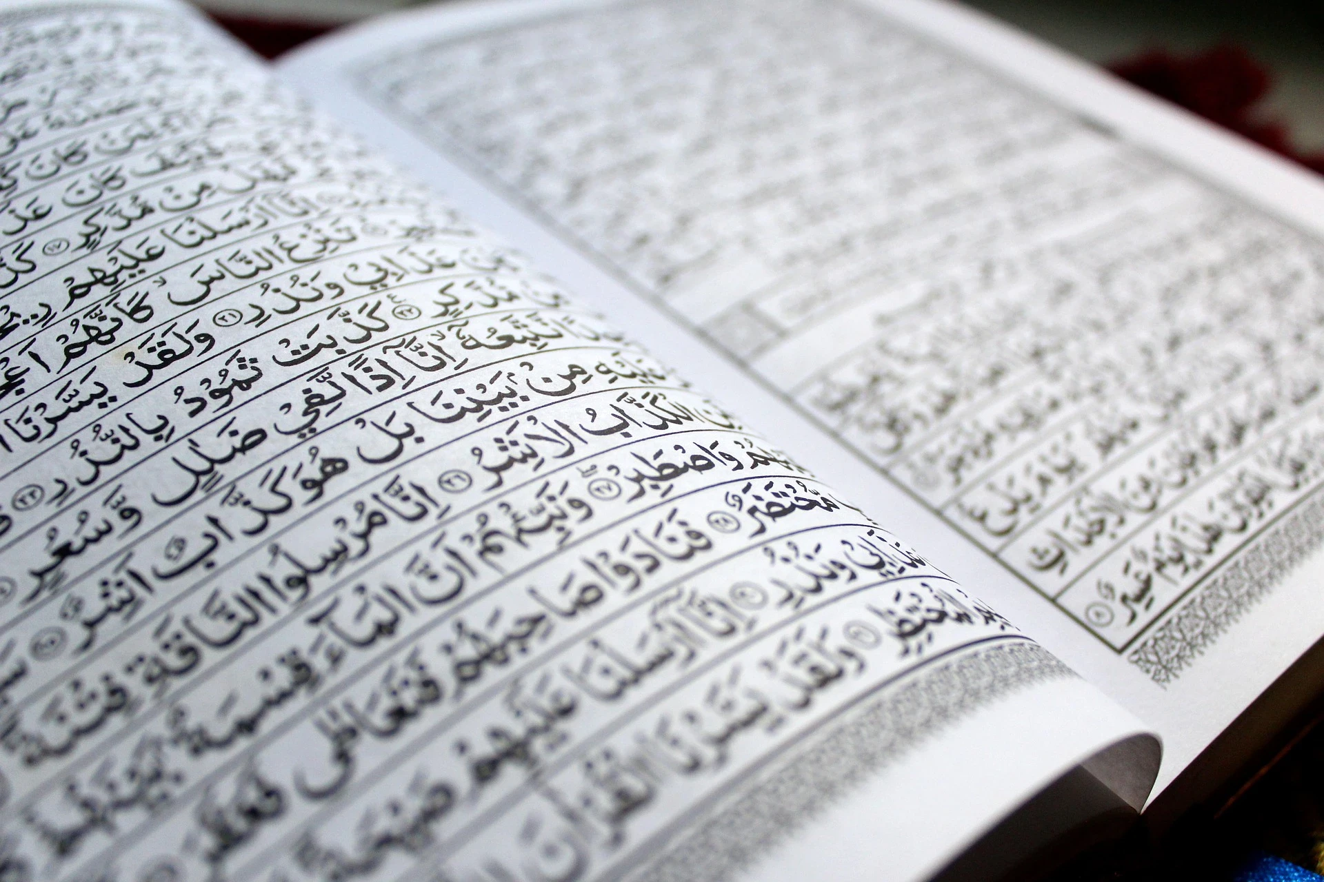 image about أثر الصلاة في تهذيب النفس وطمأنينة القلب: دليل الروح للسكينة