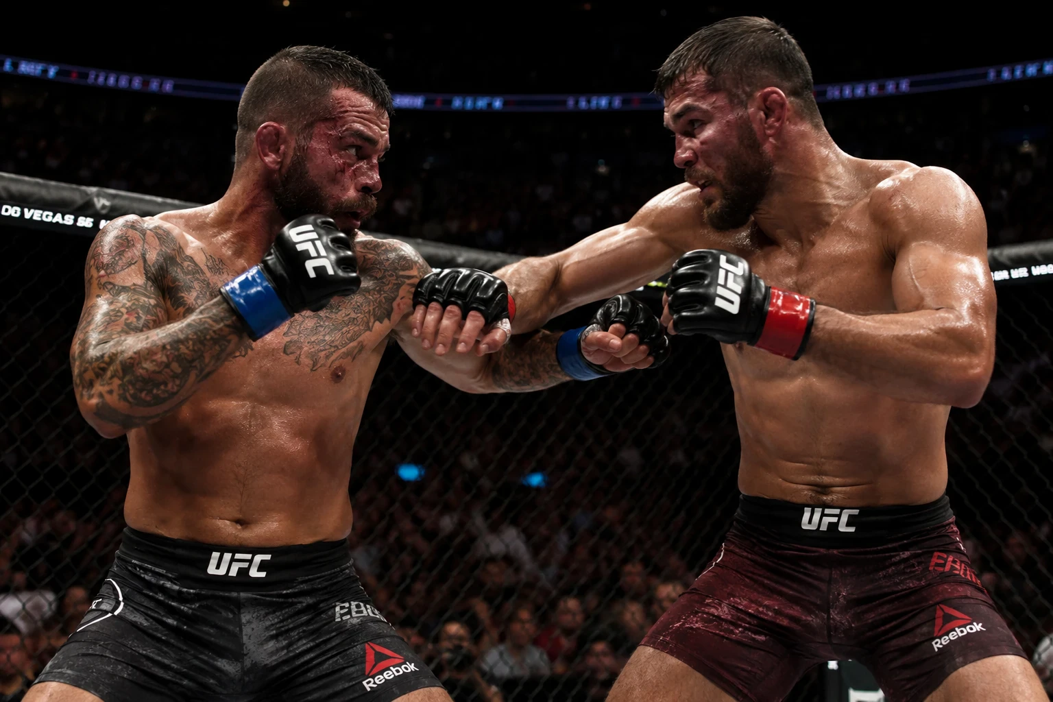 image about MMA: الرياضة التي جمعت القوة والمهارة وأصبحت ظاهرة عالمية