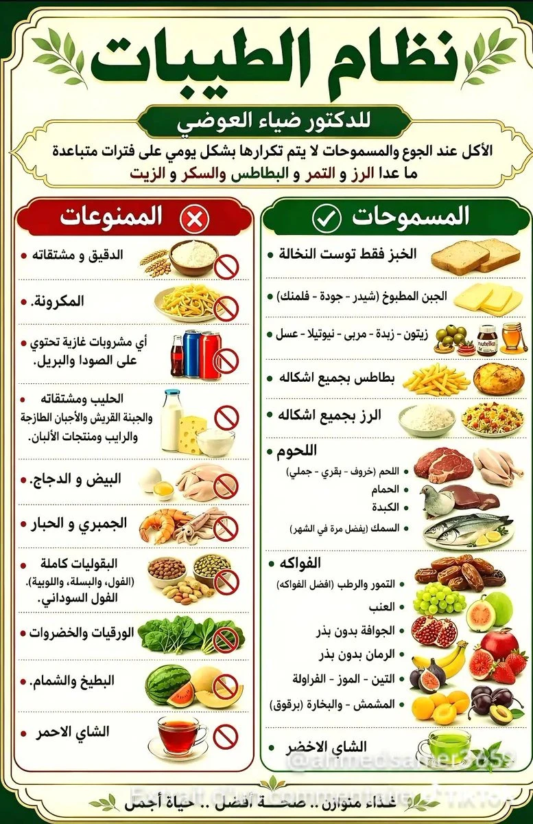 image about نظام الطيبات الغذائي تحت المجهر: بين الوعود الغذائية والتحذيرات الطبية