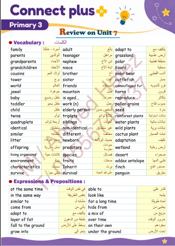 image about تحميل مراجعة Connect Plus للصف الثالث الابتدائي ترم ثاني 2026 PDF أقوى مراجعة نهائية بالإجابات