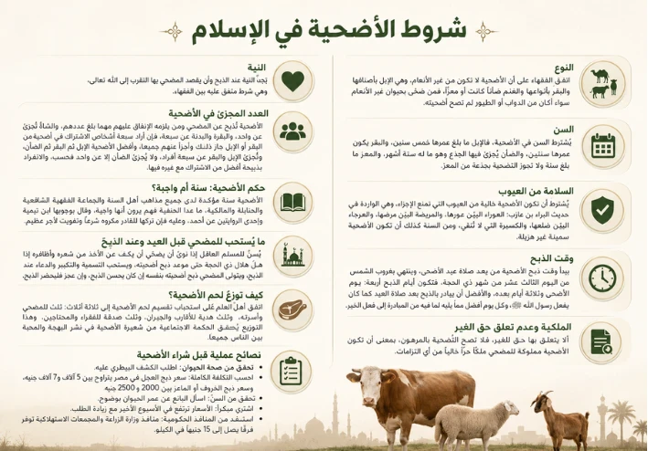 image about أسعار الأضاحي 2026 في مصر: دليل شامل بالأسعار الحقيقية والشروط والأحكام