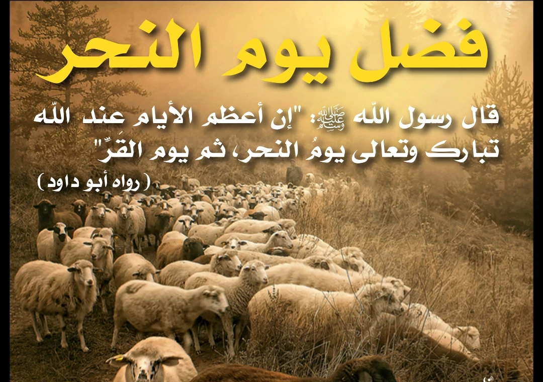 image about شعيرة الأضحية: قربان الطاعة والتكافل في يوم النحر