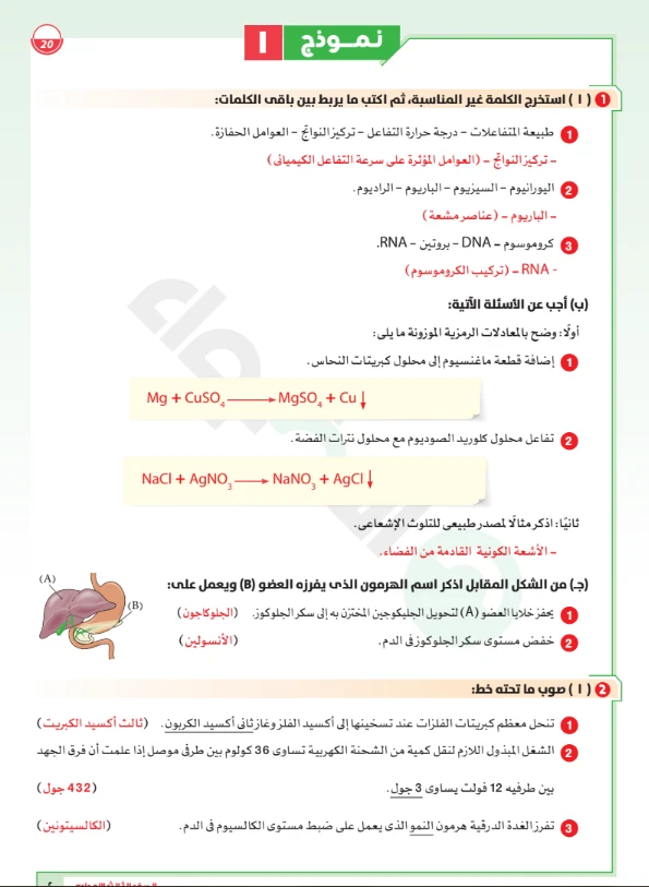 image about تحميل مراجعة الأضواء النهائية علوم 2026 الصف الثالث الإعدادي PDF | جميع نماذج الامتحان والإجابات