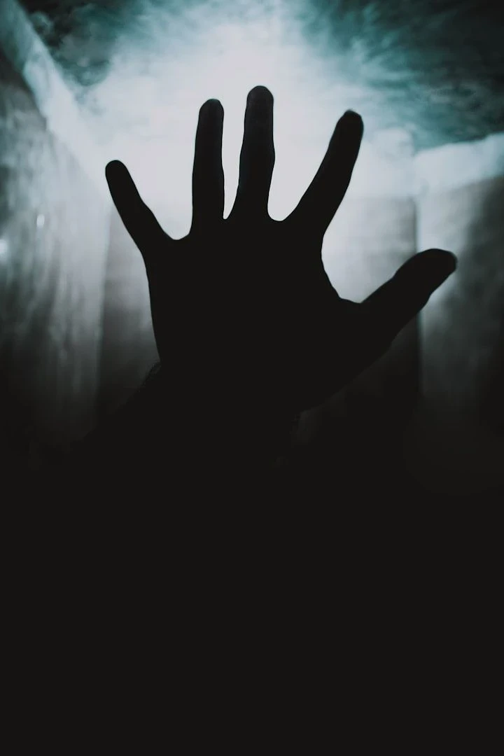 image about صدى المرآة المكسورة