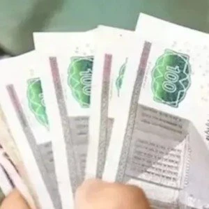 image about الدعم النقدي: 4 شرائح لضمان العدالة
