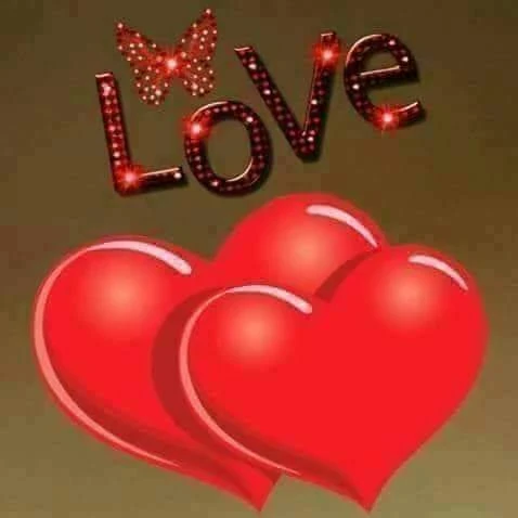 image about روايته غرام الفارس